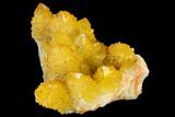 Sunshine Cactus Quartz Crystal Cluster - South Africa #132895-2